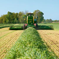 Krone Big M